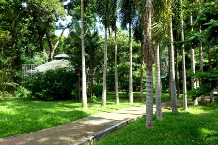 General view - Saigon Zoo and Botanical Gardens - Ho Chi Minh City, Vietnam - DSC01358