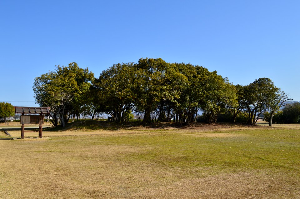 Fujiwara Palace, Daigokuden-3