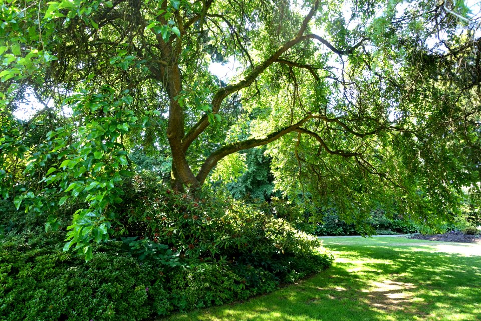 General view - VanDusen Botanical Garden - Vancouver, BC - DSC06832