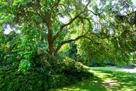 General view - VanDusen Botanical Garden - Vancouver, BC - DSC06832
