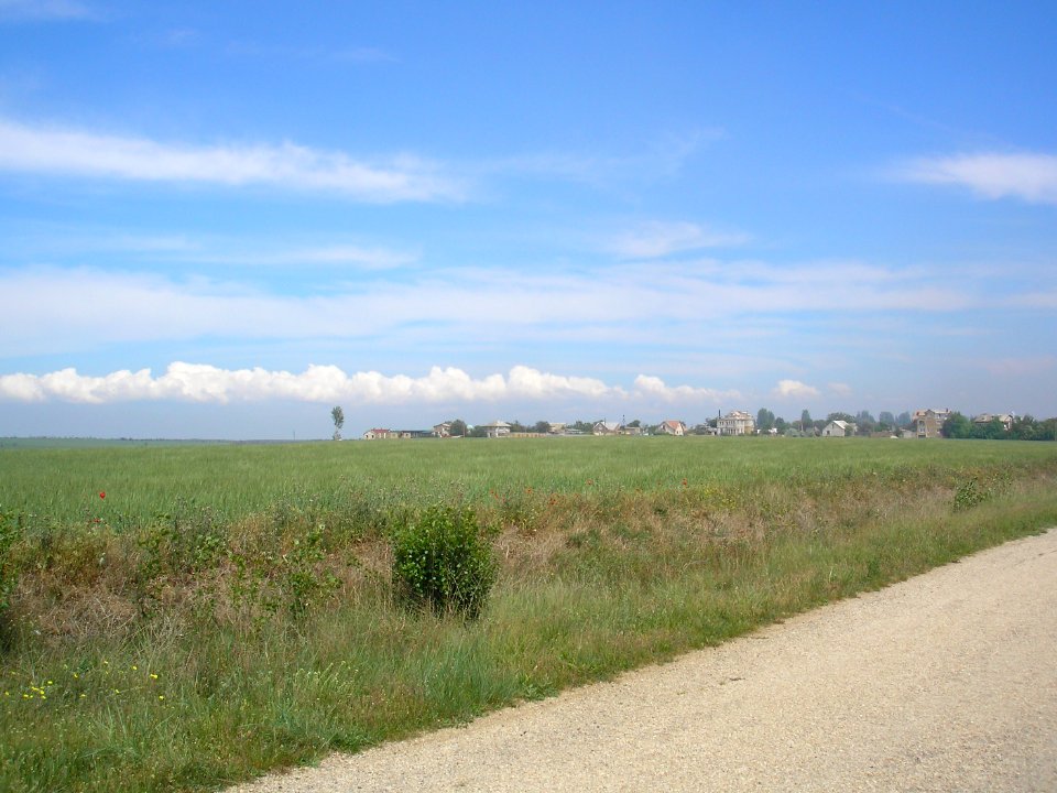Frunze Saksky 3