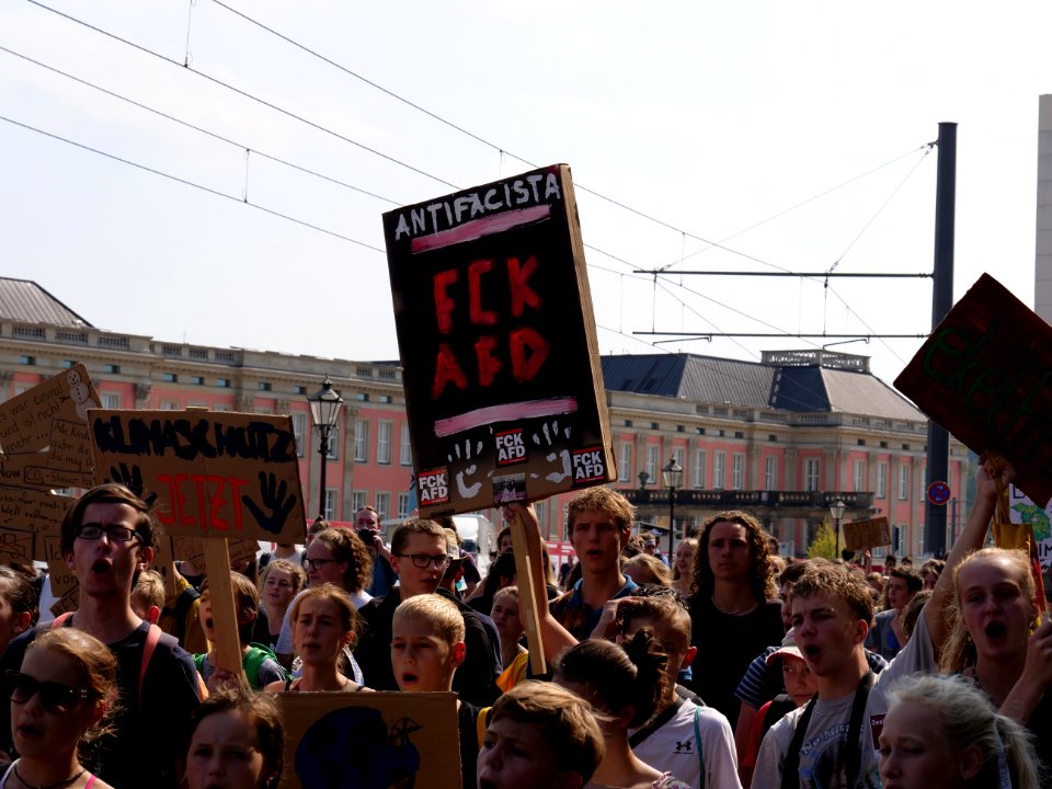 FridaysForFuture protest Potsdam 30-08-2019 70