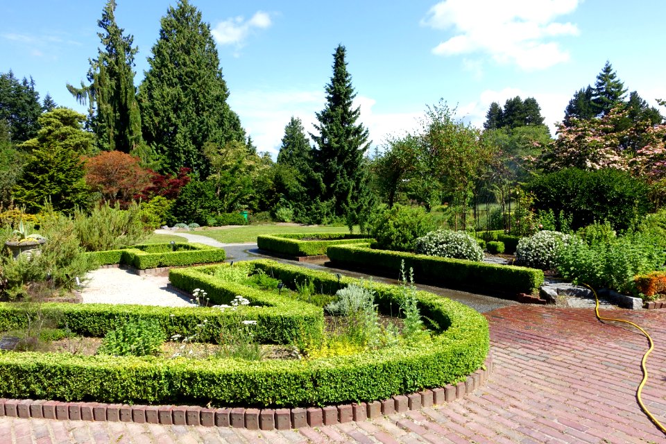 General view - VanDusen Botanical Garden - Vancouver, BC - DSC06756