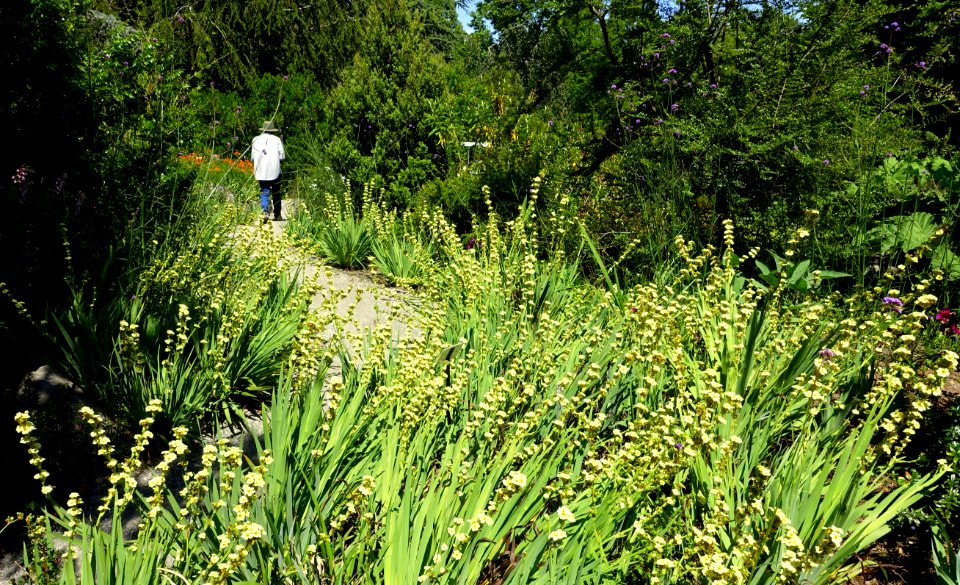General view - VanDusen Botanical Garden - Vancouver, BC - DSC07388