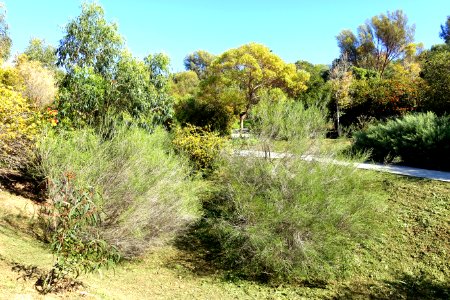 General view - Jardín Botánico de Barcelona - Barcelona, Spain - DSC09026
