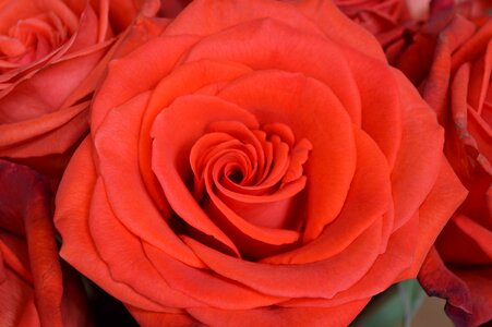Decorative nature present