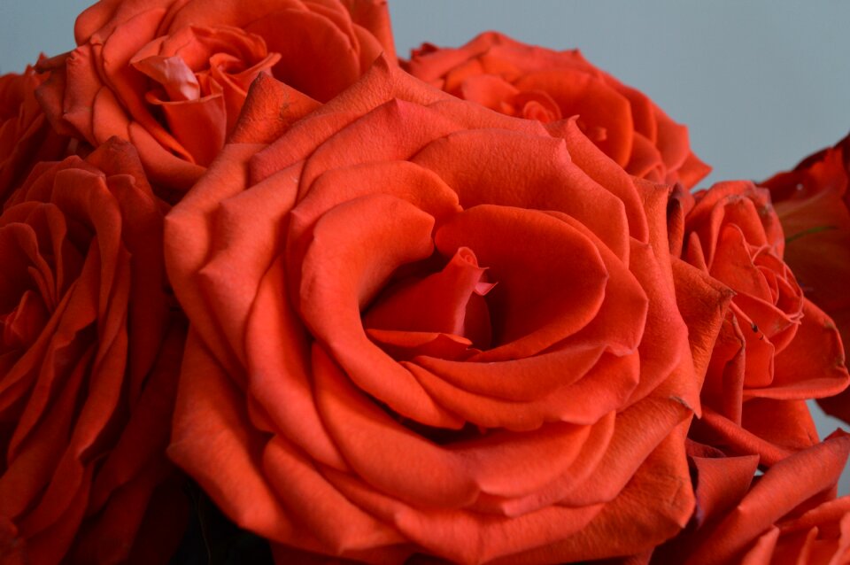 Decorative nature bunch