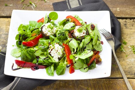 Healthy meal gourmet