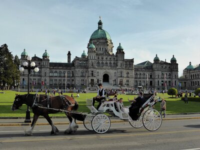 Tour tourism holiday