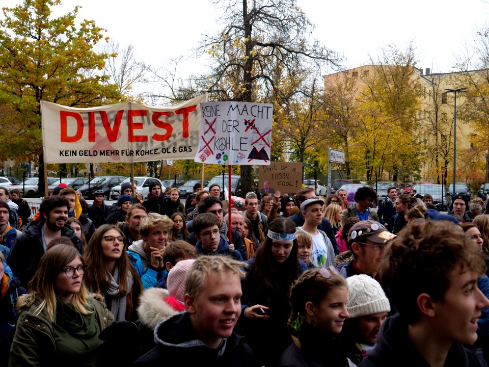 FridaysForFuture protest Berlin 08-11-2019 79