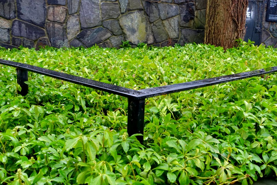 Franklin Street Park - Cambridge, MA - DSC07854
