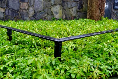Franklin Street Park - Cambridge, MA - DSC07854