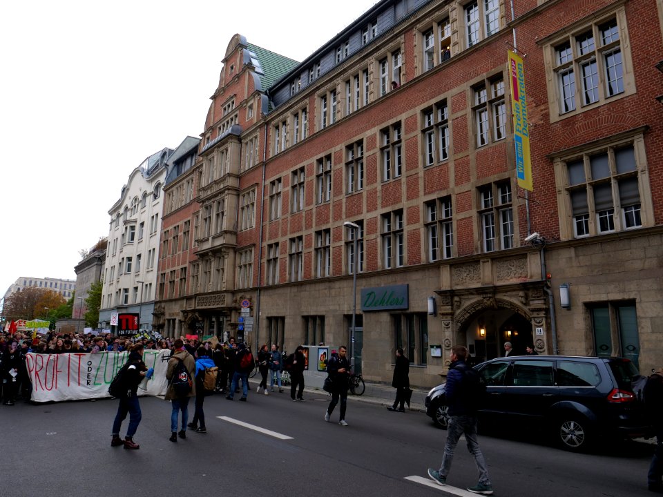 FridaysForFuture protest Berlin 08-11-2019 33