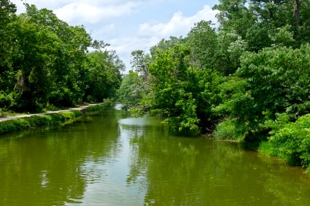 Four Mile level on Chesapeake and Ohio Canal looking above Fletcher's Boathouse