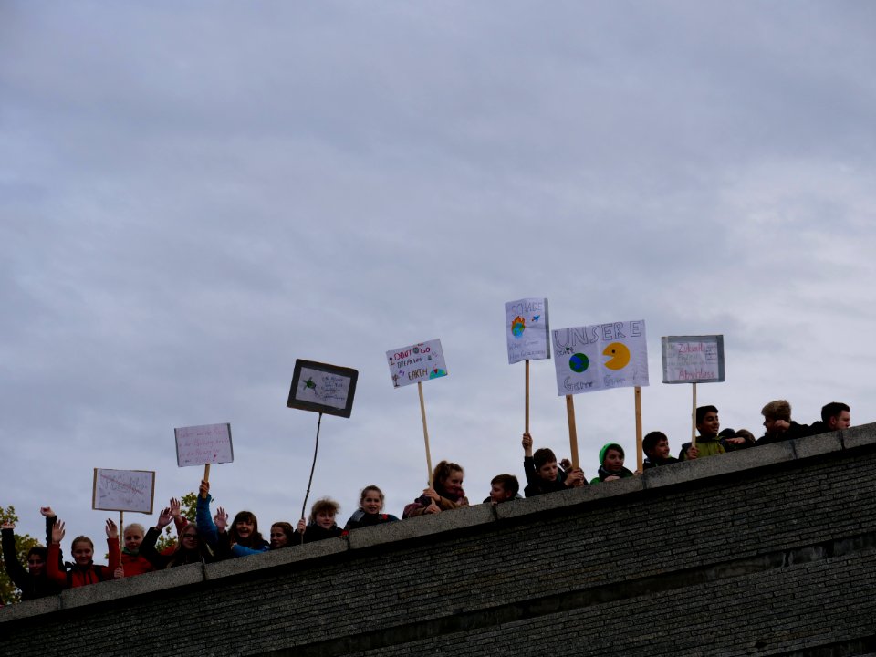FridaysForFuture protest Berlin 08-11-2019 Invalidenpark 04