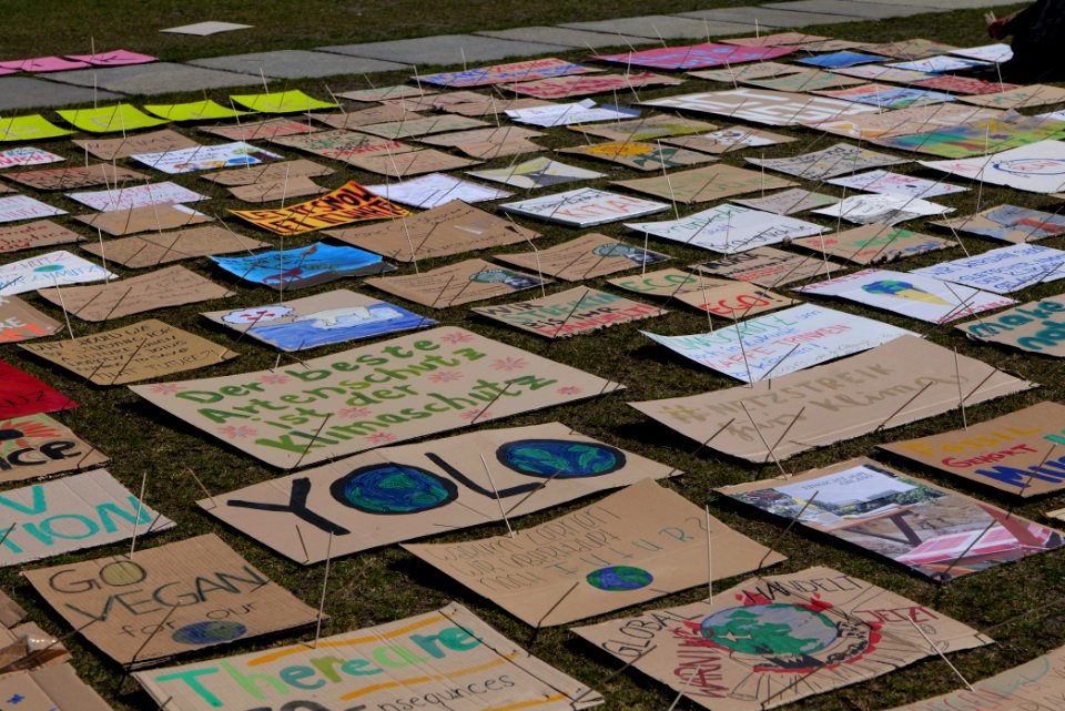 FridaysForFuture protest Berlin 2020-04-24 127