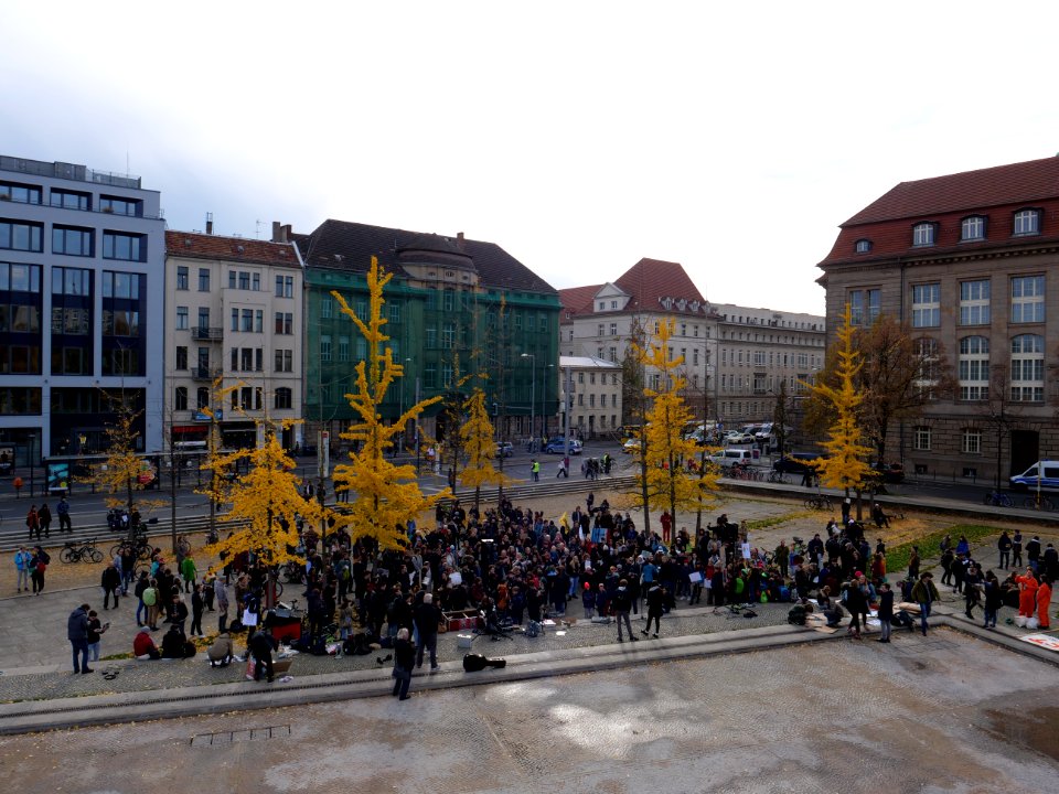 FridaysForFuture protest Berlin 08-11-2019 Invalidenpark 15