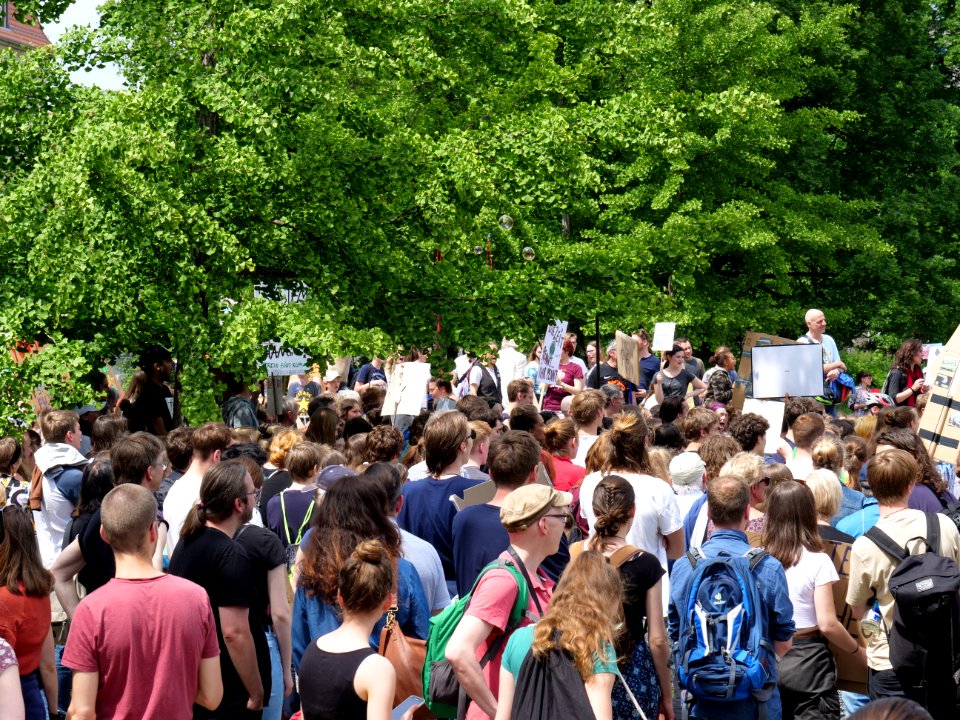 FridaysForFuture protest Berlin 31-05-2019 37