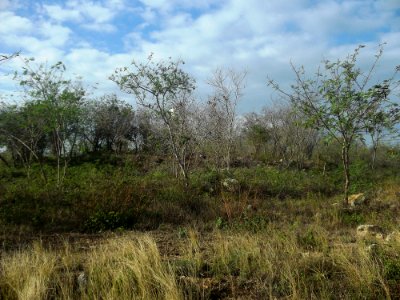 Fraccionamiento Villa Magna del Sur, Mérida, Yucatán (10)
