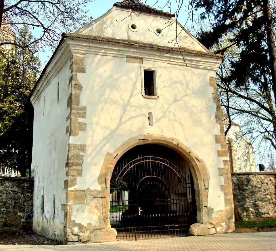 05BisRefTurdaNoua