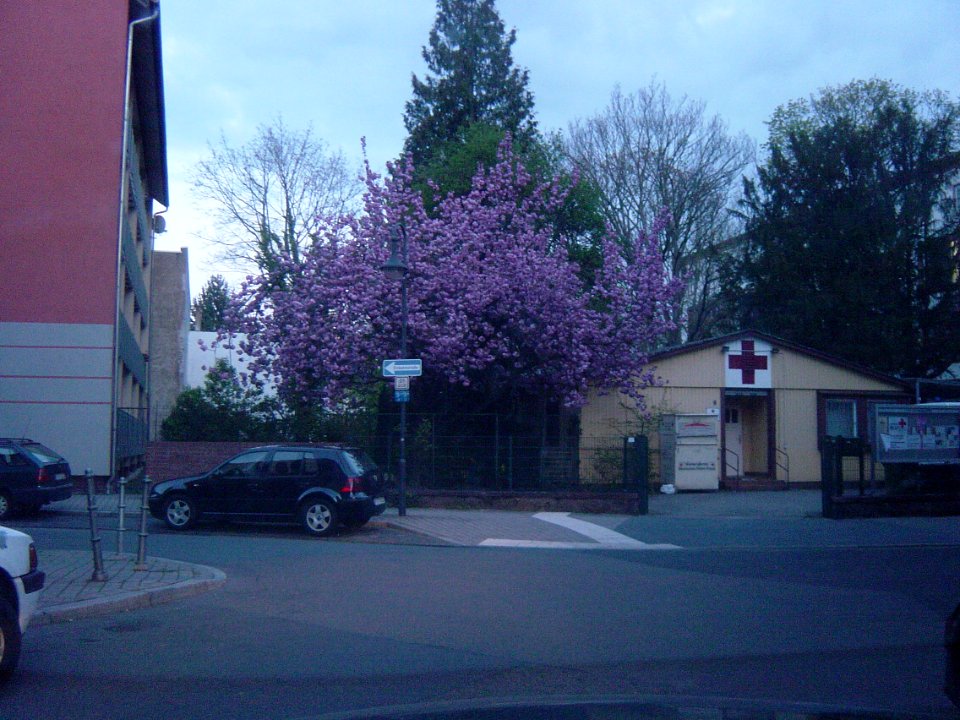Frankfurt-Bockenheim Rotes Kreuz 01