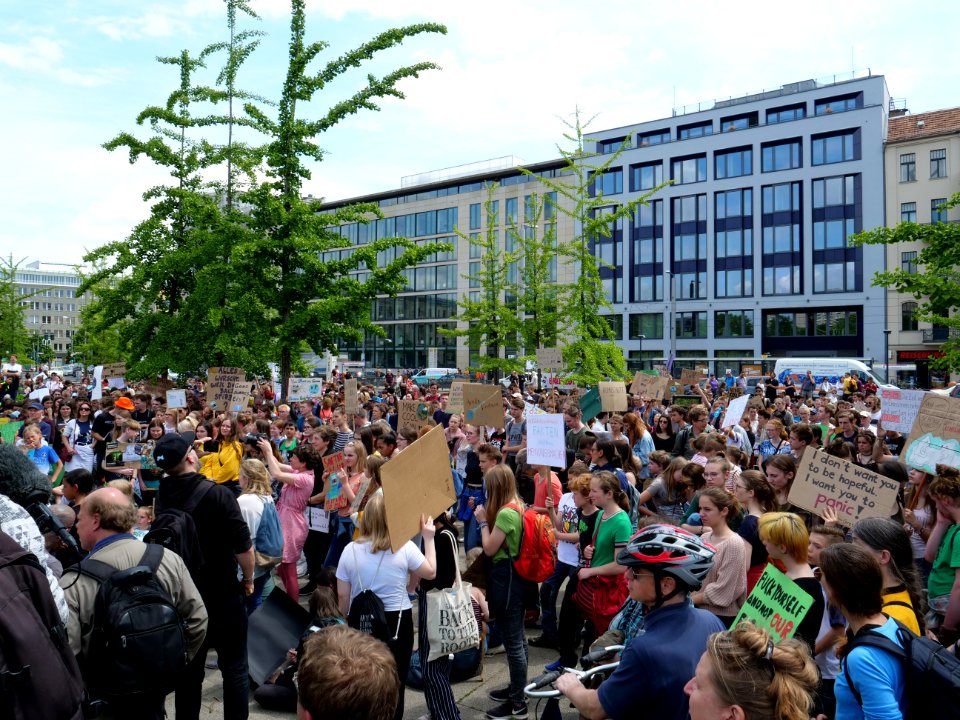 FridaysForFuture protest Berlin 31-05-2019 27