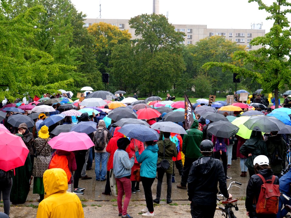 FridaysForFuture protest Berlin 27-09-2019 31