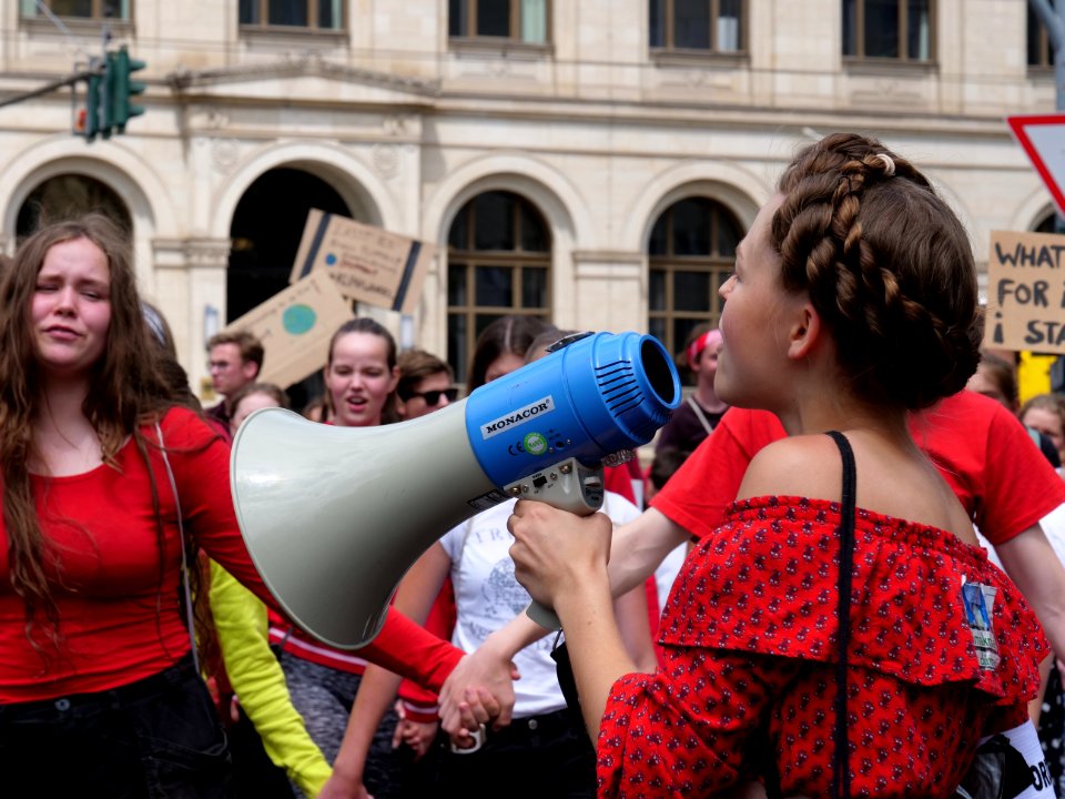 FridaysForFuture protest Berlin demonstration 28-06-2019 04
