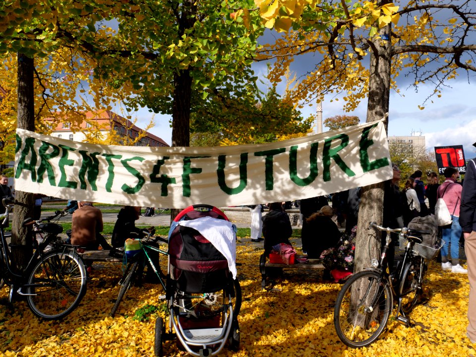 FridaysForFuture protest Berlin 25-10-2019 48