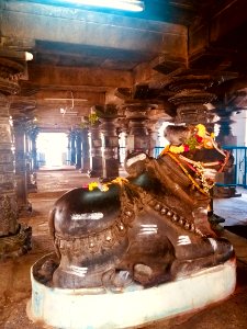 11th 12th-century Pachala Someshwara Temple Nandi