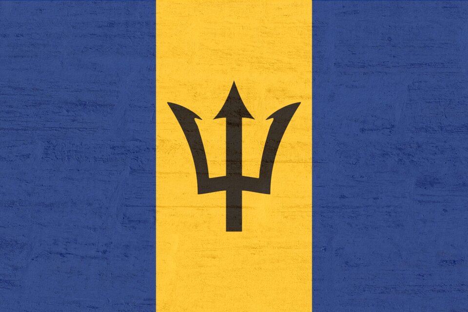 Barbados flag Free photos