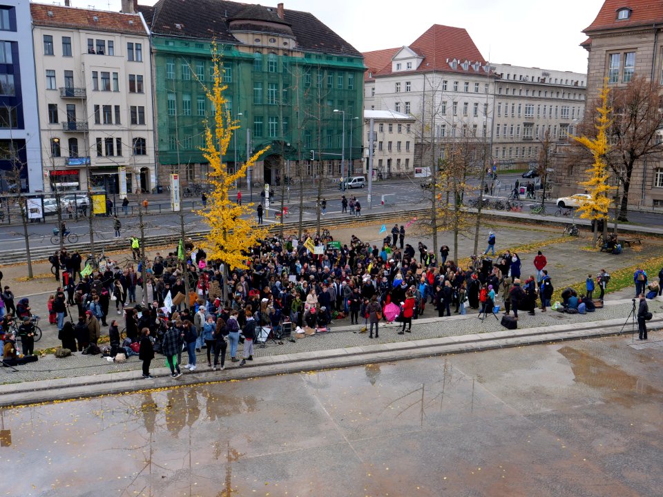 FridaysForFuture protest Berlin 22-11-2019 14