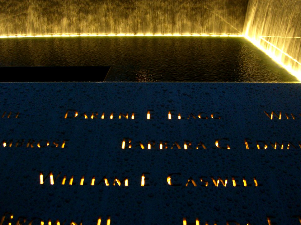 12.6.11WilliamECaswellPanelS-70ByLuigiNovi3