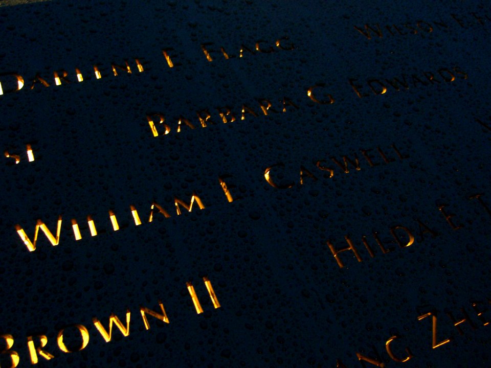 12.6.11WilliamECaswellPanelS-70ByLuigiNovi1