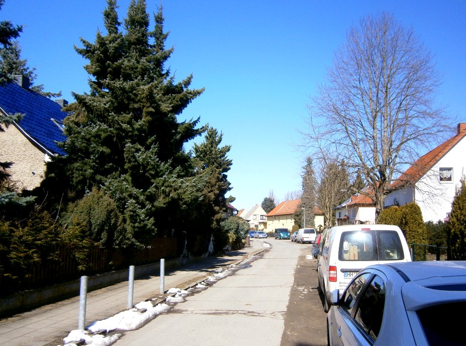 FranzBuchholz Zitherstraße Nord