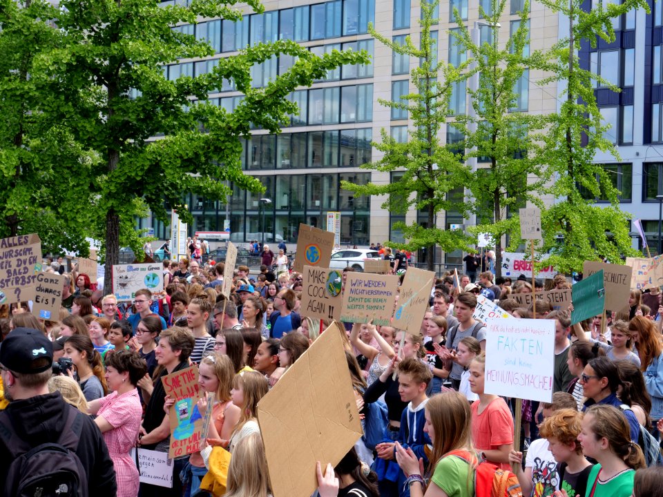 FridaysForFuture protest Berlin 31-05-2019 28