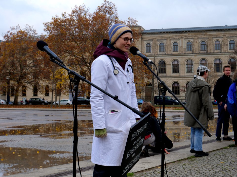 FridaysForFuture protest Berlin 22-11-2019 46