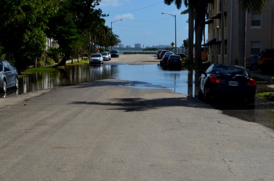 Edgewater 23 Street tidal flooding October 17 2016 morning high tide 11