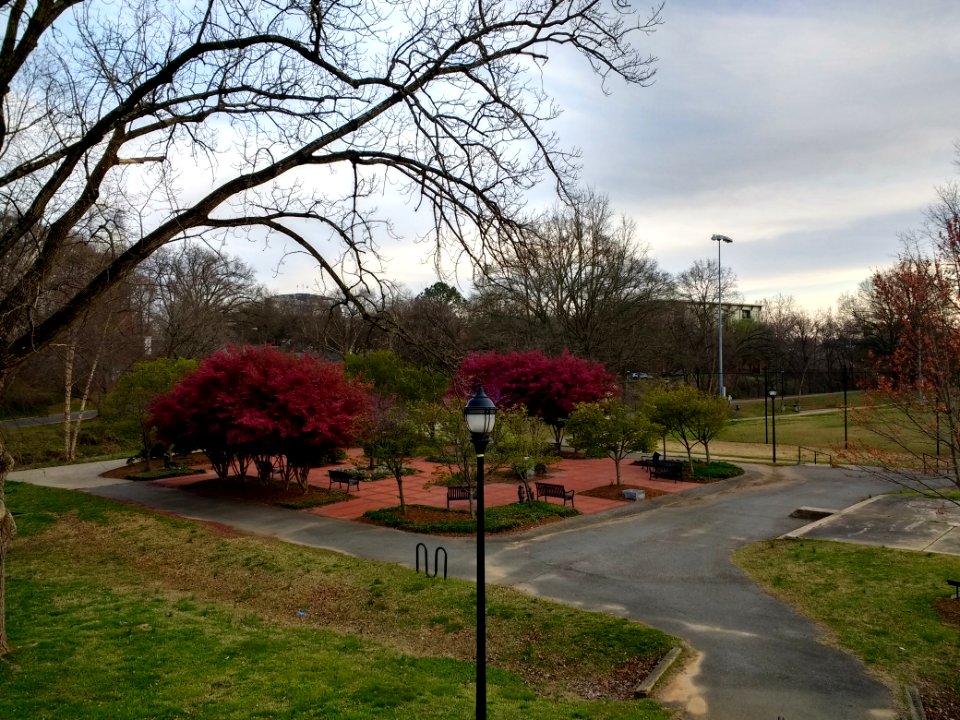 Frazier Park, Charlotte 2