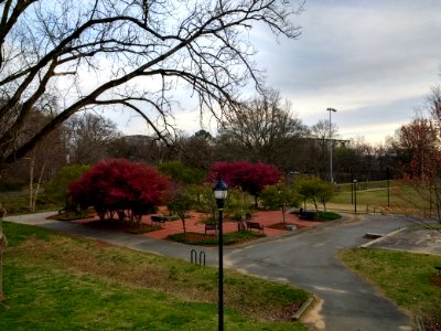 Frazier Park, Charlotte 2