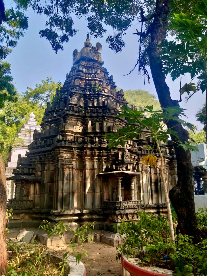 11th 12th century Pachala Someshwara Temple reliefs and mandapams, Panagal Telangana India - 69