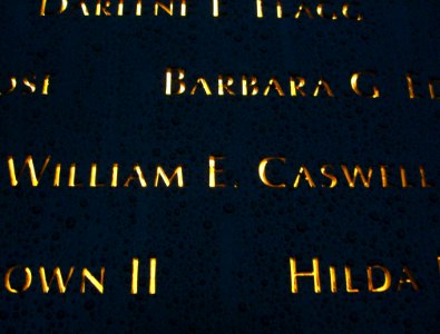 12.6.11WilliamECaswellPanelS-70ByLuigiNovi4