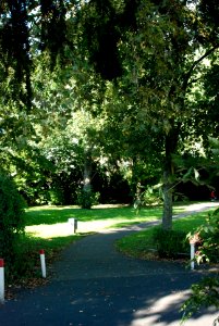 Frankfurt-Hausen Alter Friedhof A6
