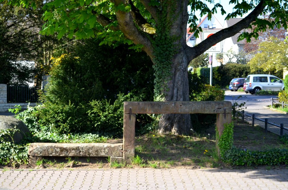 Frankfurt-Bergen, Windecker Ruhebank