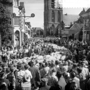 Edese heideweek, schapen komen het dorp binnen, Bestanddeelnr 910-6072