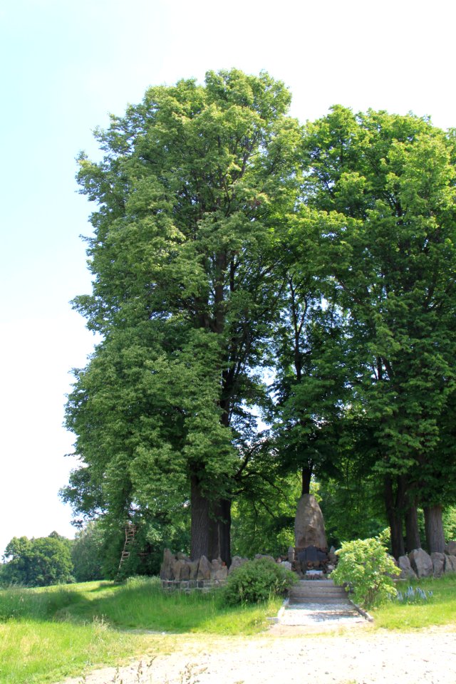 Ebendörfel 2012-05-28-7906