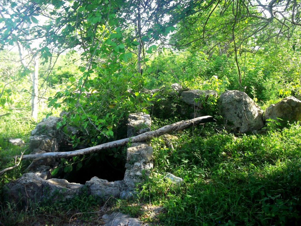 Dzonot Xanilá, Yucatán (21)