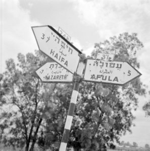Drietalige wegwijzer wijzend in de richting van Nazareth , Haifa en Afula, Bestanddeelnr 255-3217