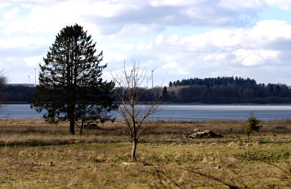 Dreifelder Weiher Westerwald Germany 3