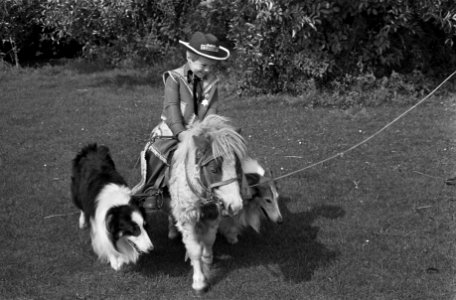 Een dame met hond en pony, Bestanddeelnr 921-6384